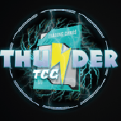ThunderTCG PSA Grading
